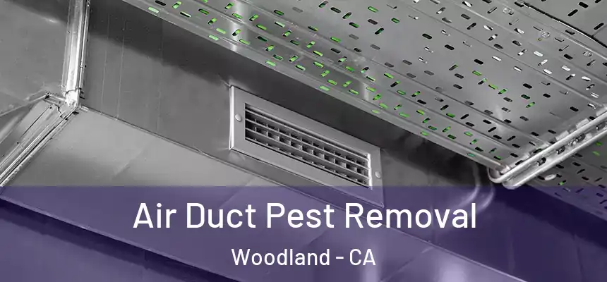 Air Duct Pest Removal Woodland - CA