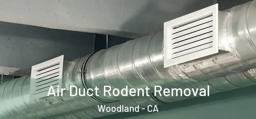 Air Duct Rodent Removal Woodland - CA