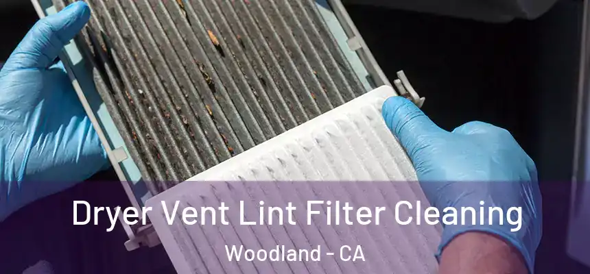 Dryer Vent Lint Filter Cleaning Woodland - CA