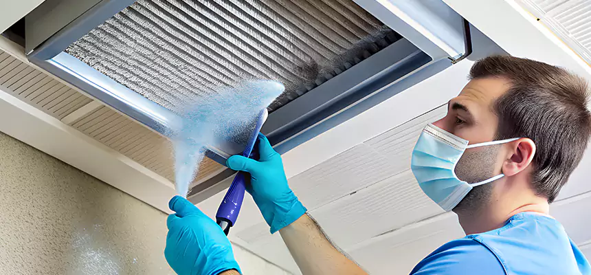 Proactive Dryer Vent & Auxiliary Duct Pollen Cleanup in Woodland, CA