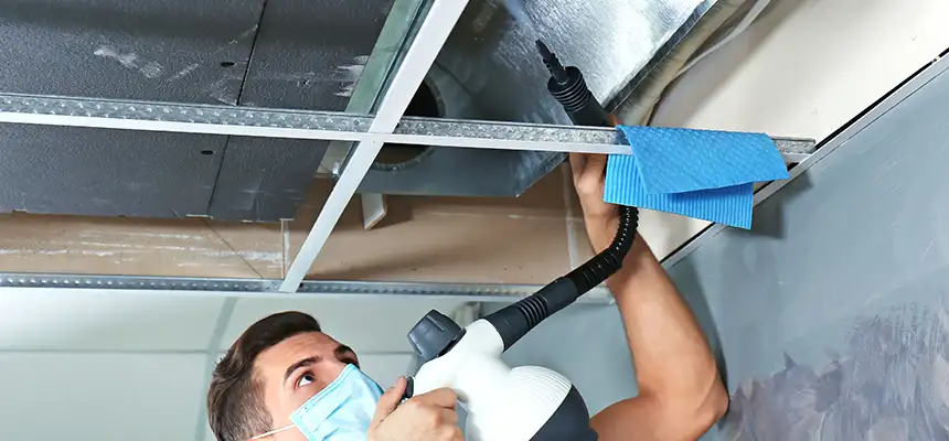 Our Air Duct Rodent Removal Services in Woodland, CA