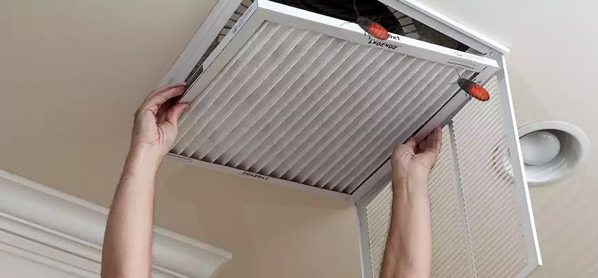 Our Insect Removal from Air Ducts Services in Woodland, CA