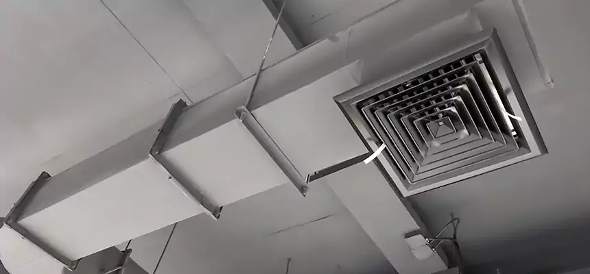 Our Pest Removal From Ducts Services in Woodland, CA