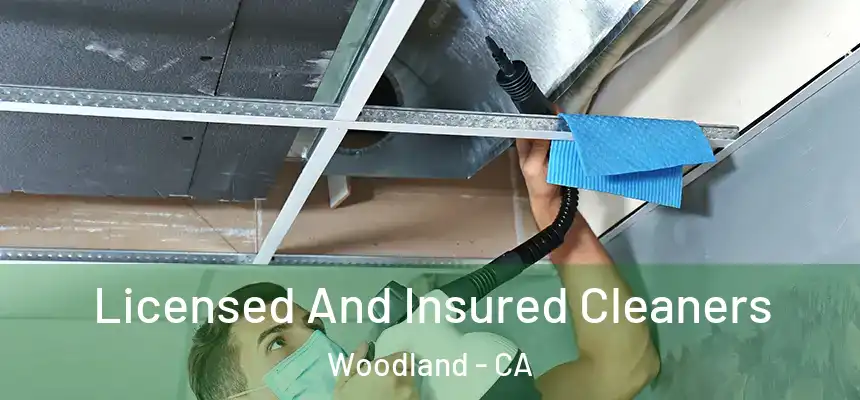  Licensed And Insured Cleaners Woodland - CA