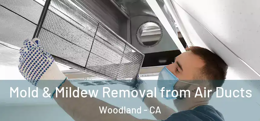 Mold & Mildew Removal from Air Ducts Woodland - CA