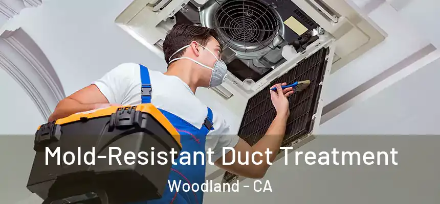  Mold-Resistant Duct Treatment Woodland - CA