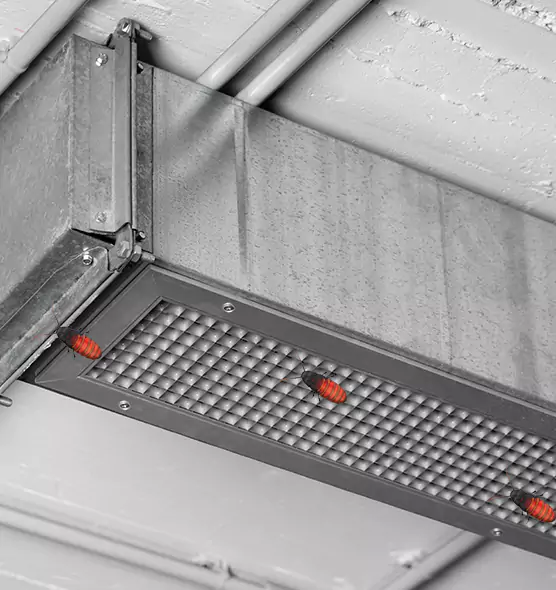 About Air Duct Cockroach Removal in Woodland, CA