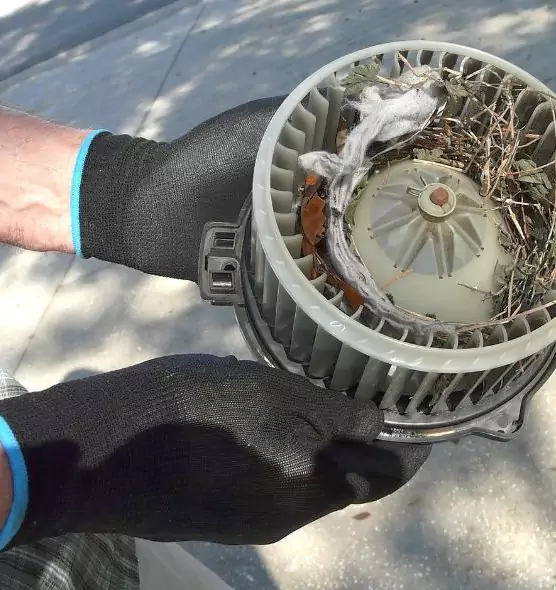 About Air Duct Mice Removal in Woodland, CA