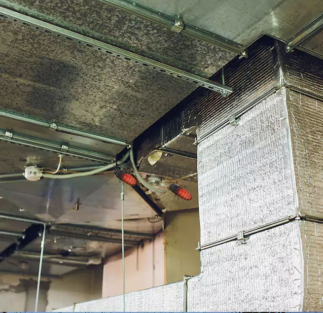 Why Homeowners & Businesses Trust Us in Woodland, CA?