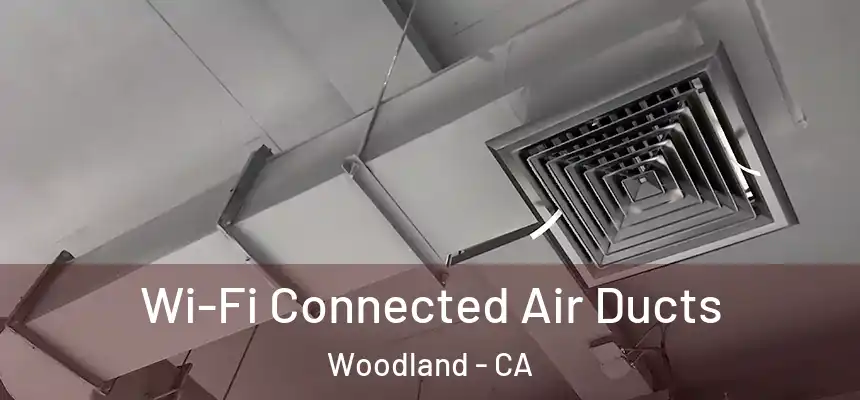 Wi-Fi Connected Air Ducts Woodland - CA